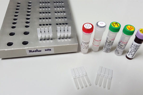 High Volume – Sensitive qPCR (Ultra – Sensitive qPCR, Molecular 